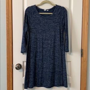 Gap soft spun swing dress